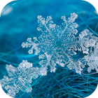 Snowflakes Live Wallpaper ikona