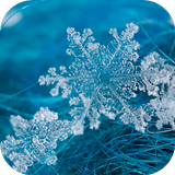 Snowflakes Live Wallpaper アイコン