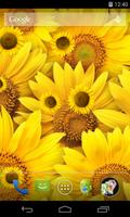 برنامه‌نما Sunflower Live Wallpaper عکس از صفحه