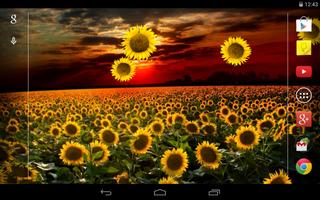Sunflower Live Wallpaper تصوير الشاشة 3