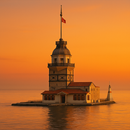 Vivid Turkiye APK
