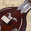 Sitar Sim icon