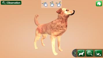 EVO FARM ANIMAL - ANIMAL AR اسکرین شاٹ 2