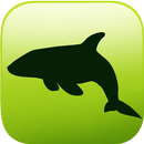 EVO OCEAN - EVOOCEAN AR APK