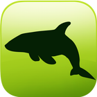 EVO OCEAN - EVOOCEAN AR أيقونة