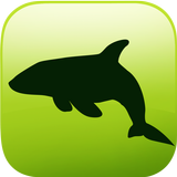 EVO OCEAN - EVOOCEAN AR icon