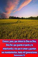 Promesas de Dios Ekran Görüntüsü 1