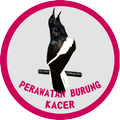 Perawatan Burung Kacer