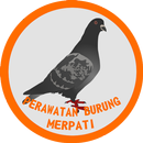 Cara Merawat Burung Merpati APK