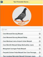 Cara Merawat Burung Merpati Affiche