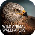 Wild Animal Wallpapers icône