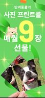 uchiccolog 포스터