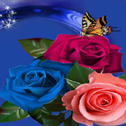 Multicolor Roses Butterfly LWP أيقونة