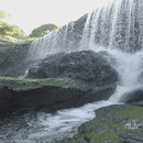 Naturally Fall View LWP-APK