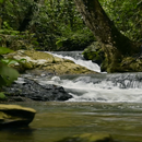 Naturally Water Live Wallpaper APK