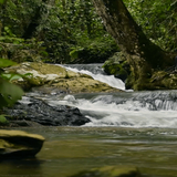 Naturally Water Live Wallpaper 아이콘