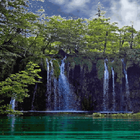 Nature Jungle Waterfall LWP icon