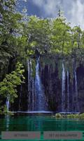 Nature Jungle Waterfall LWP Affiche