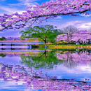 APK Nature Purple Lake LWP