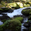 Nature Rocky Water LWP APK