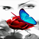 Butterfly Eyes Live Wallpaper APK