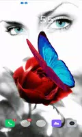 Butterfly Eyes Live Wallpaper โปสเตอร์