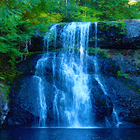 Blue Fall Live Wallpaper icon