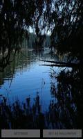 Evening Lake Live Wallpaper پوسٹر