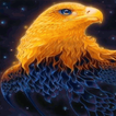 Eagle Live Wallpaper