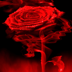 Fiery Red Rose LWP icône