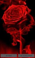Fiery Red Rose LWP Affiche