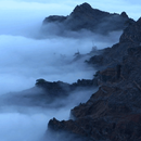 Foggy Mountain Live Wallpaper APK