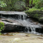 Forest Rock Water LWP icon