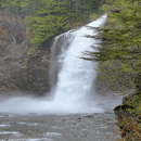 Forest View Fall LWP APK