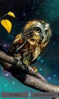 Golden Owl Live Wallpaper Affiche