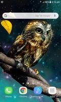 Golden Owl Live Wallpaper capture d'écran 1