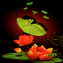Green Butterflies Live Wallpap APK