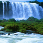 Green Grass Fall LWP icon