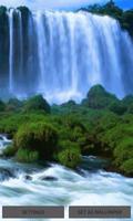 Green Grass Fall LWP poster