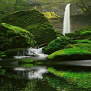 Green Rocks Live Wallpaper-APK