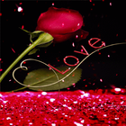Love Rain Live Wallpaper 아이콘