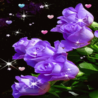 Purple Flower Magic LWP иконка