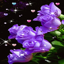 Purple Flower Magic LWP APK