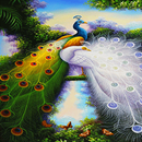 Peacock Butterfly LWP-APK