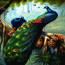 Peacock Butterfly Live Wallpap APK