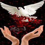 Red Black Heart LWP icon