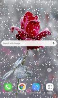 Red Snowy Rose LWP captura de pantalla 1