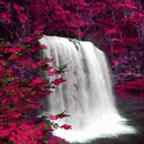 APK Red Spring Waterfall LWP