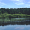 Rolling Nature River LWP