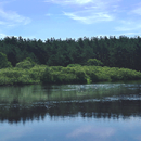 Rolling Nature River LWP-APK